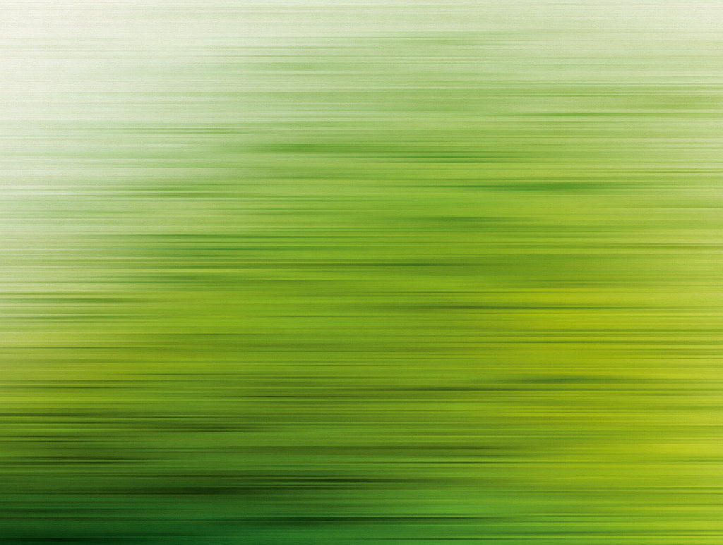 Hochwertige  Tapete aus der Kollektion The Wall in Grün