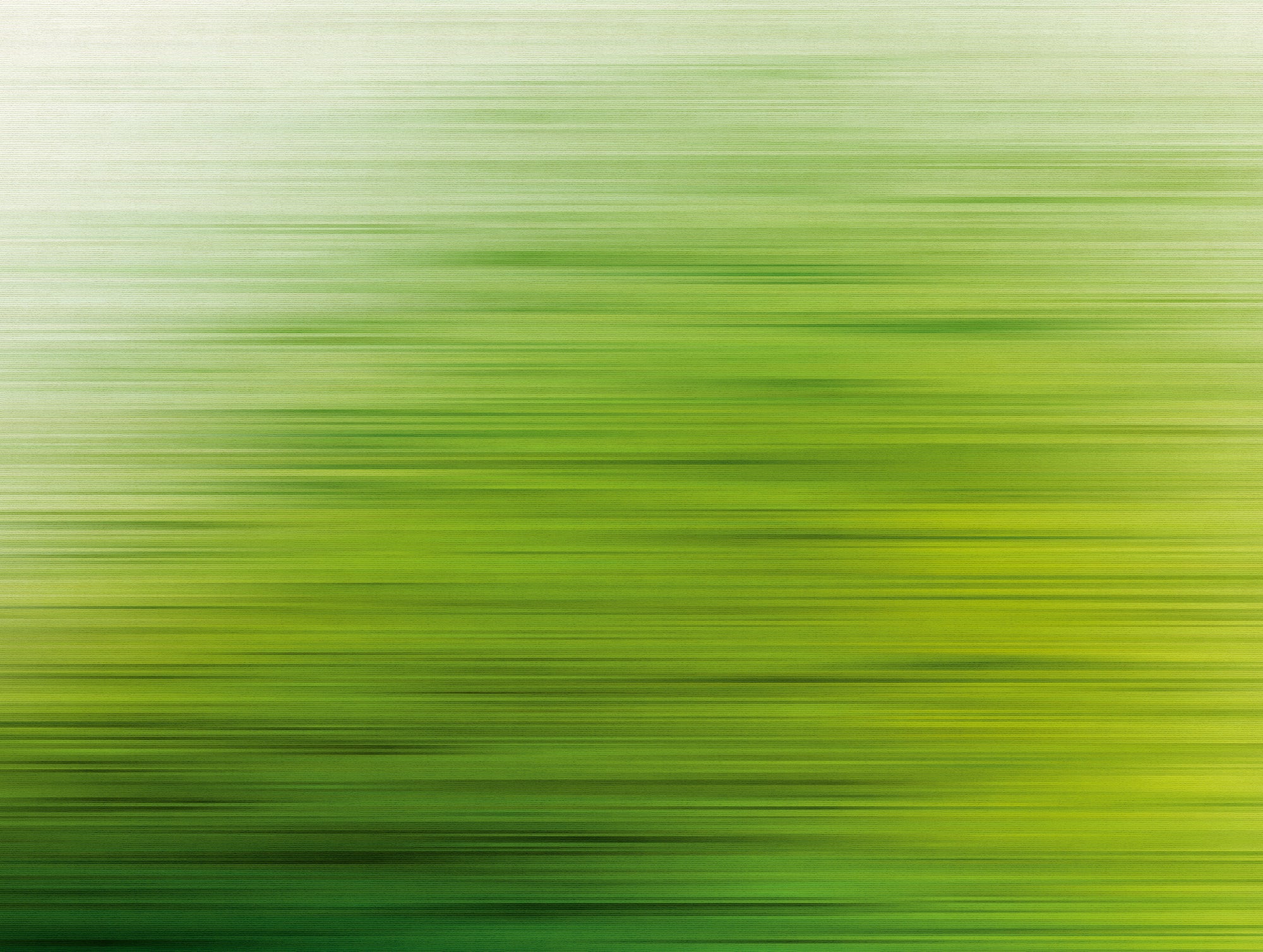 Hochwertige  Tapete aus der Kollektion The Wall in Grün