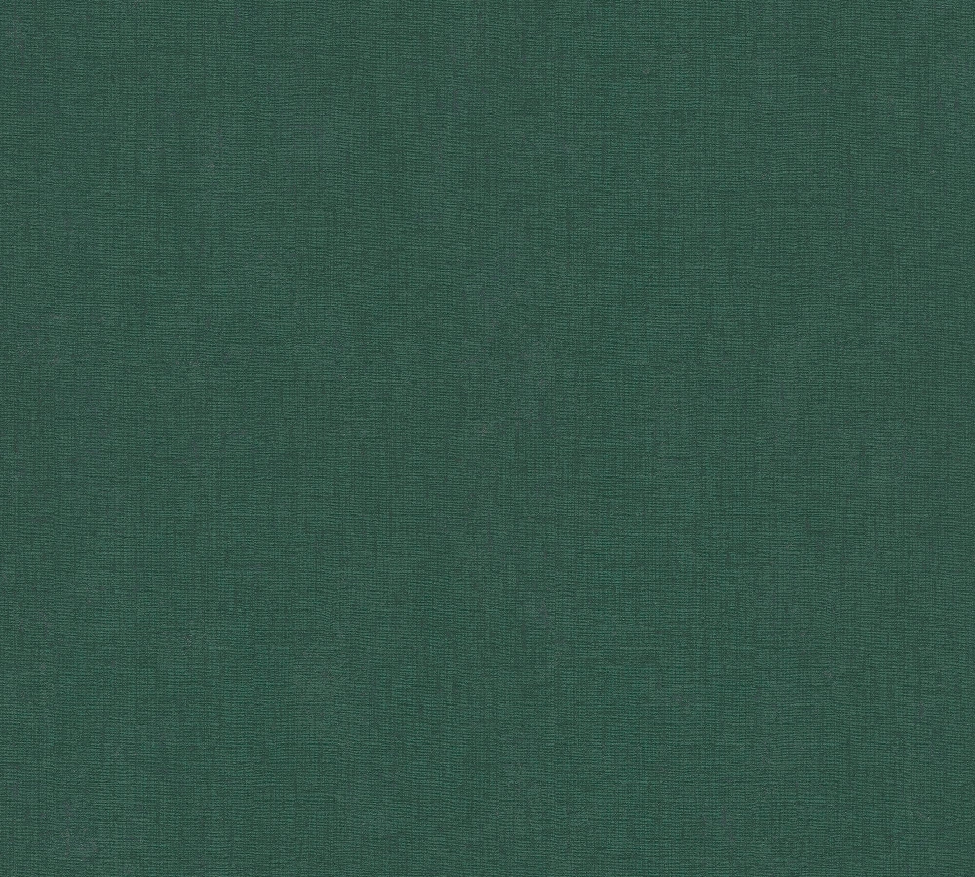 Papel pintado de alta calidad de la colección Casual Living en color verde. 