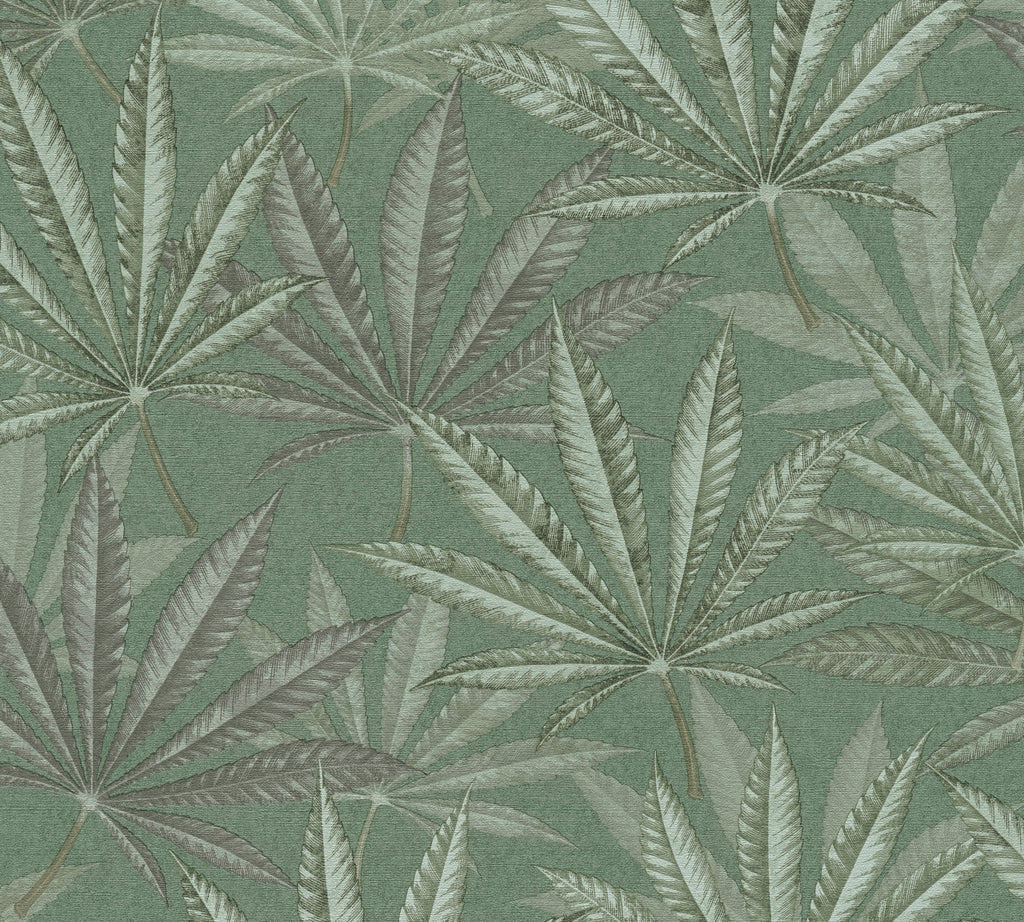 Hochwertige  Tapete aus der Kollektion Michalsky 6 in Grün