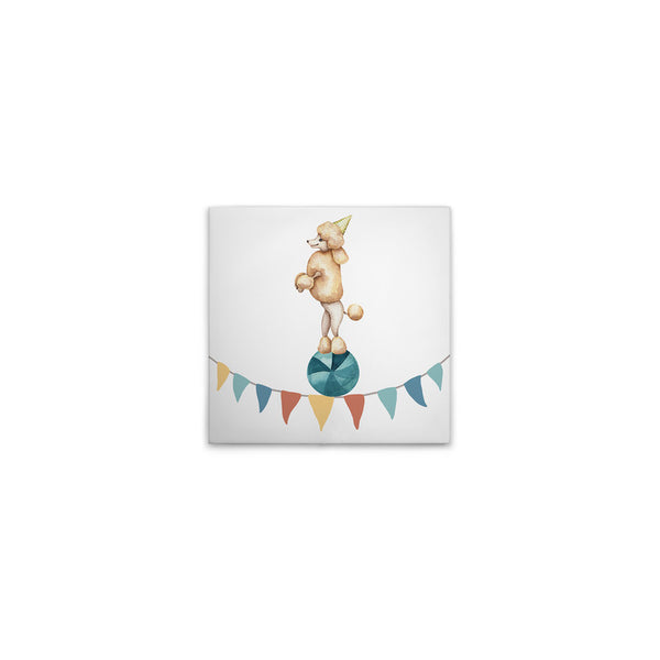 Haz circo3 