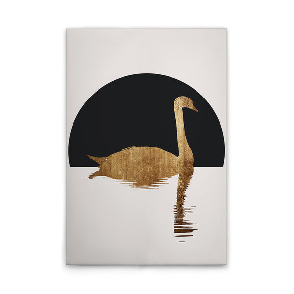 El cisne1 