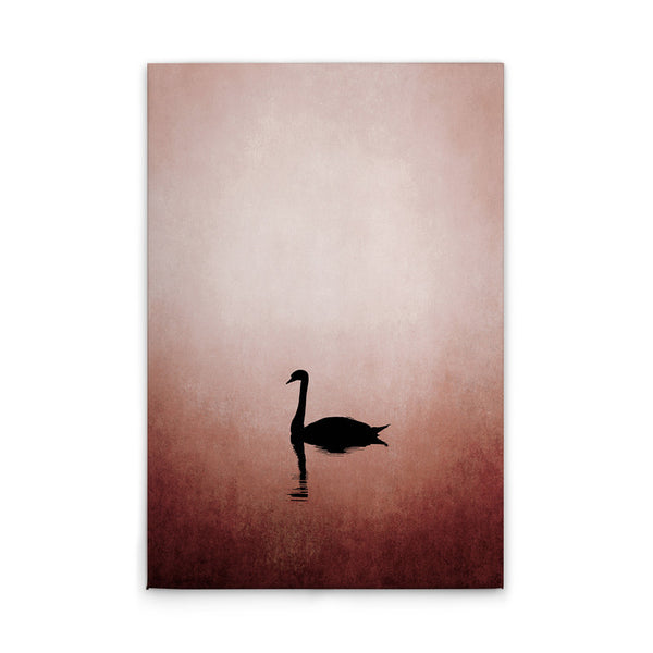 El lago de los cisnes 