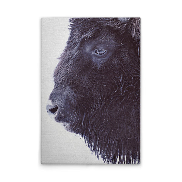 Black Buffalo 