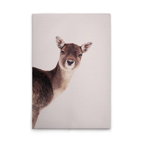 DeerRose 