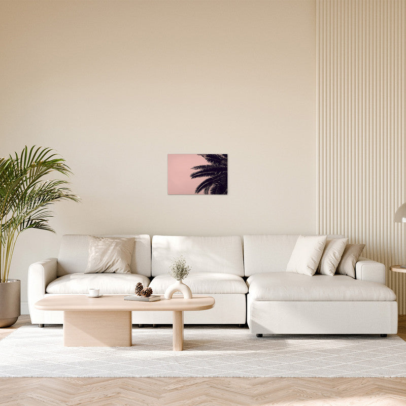 PalmTree 