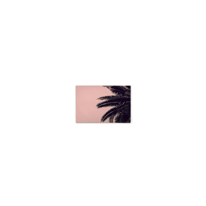 PalmTree 