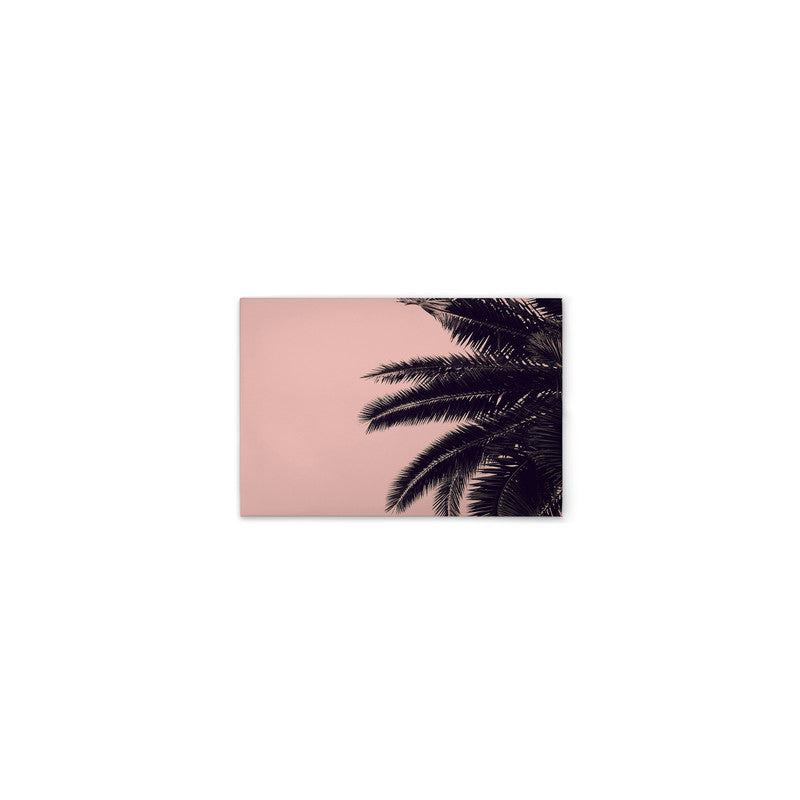 PalmTree 