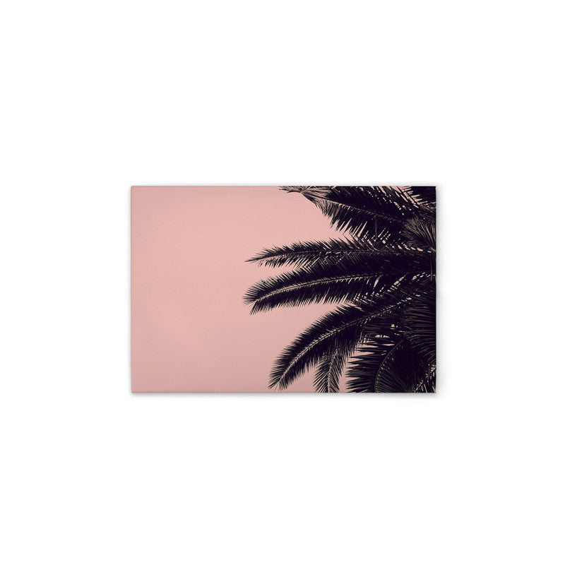 PalmTree 