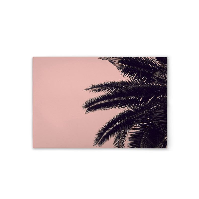 PalmTree 
