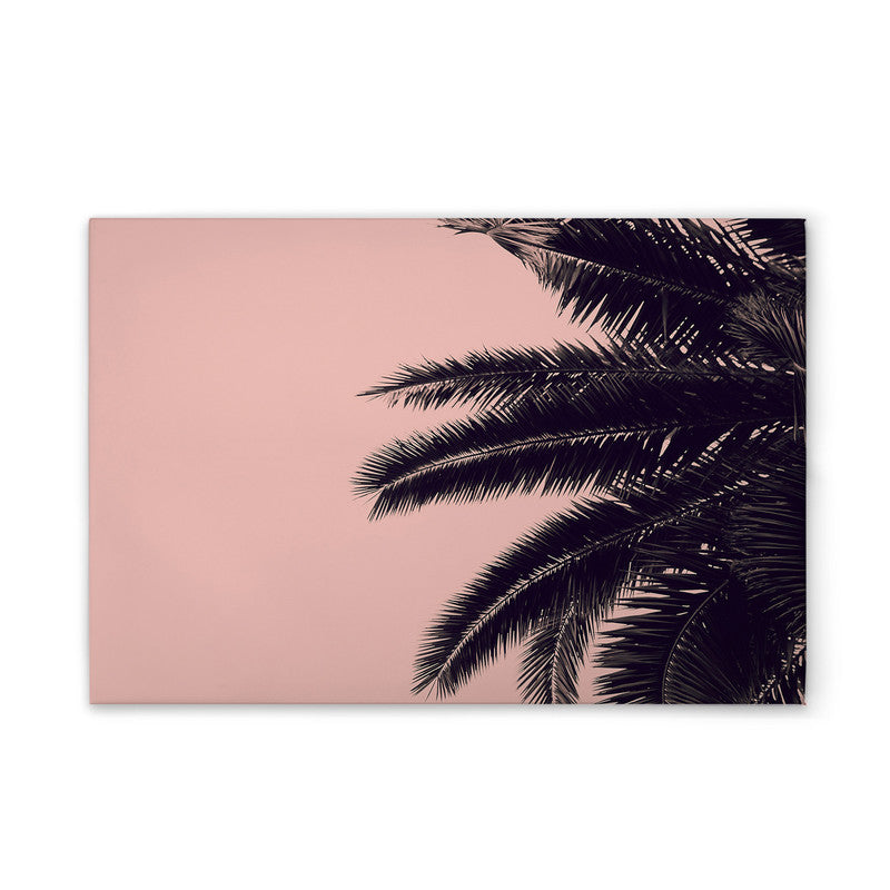 PalmTree 