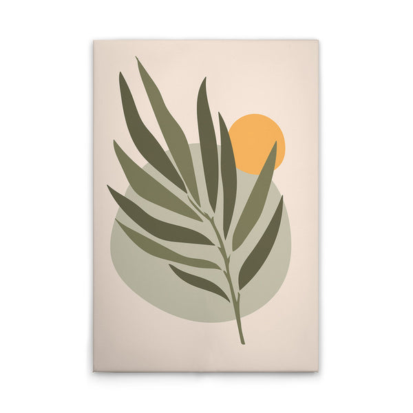 Olive2
