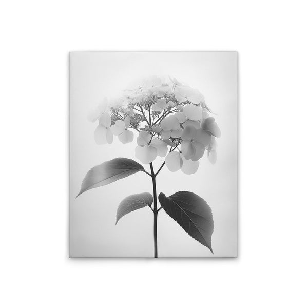 Floral pattern SW2 