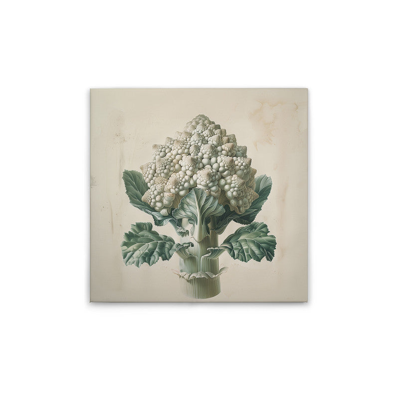 Romanesco 