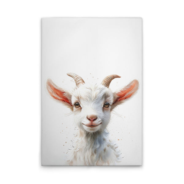 Babybilly goat 