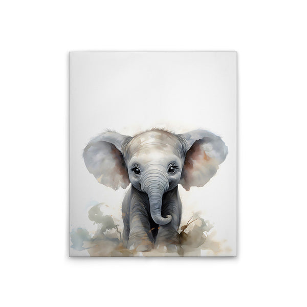 Baby Elephant 