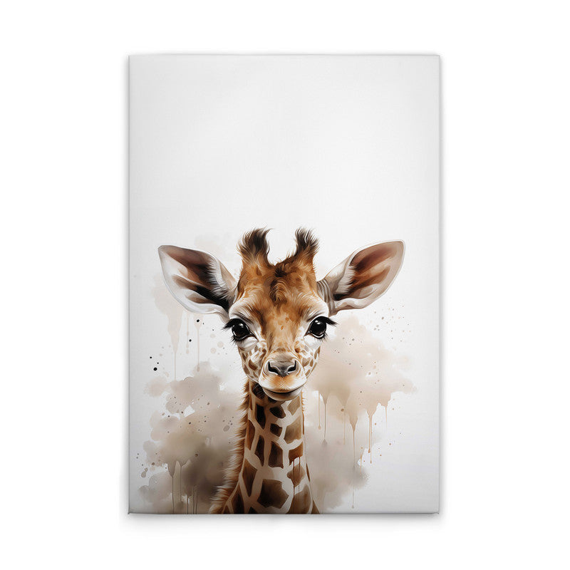 Baby Giraffe 