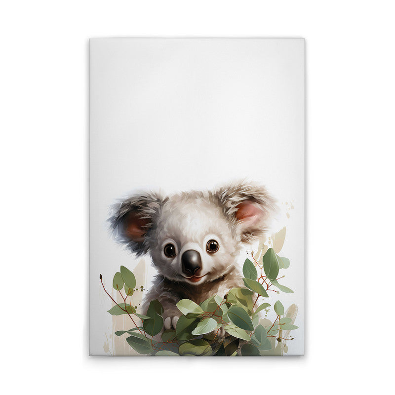 Baby Koala 