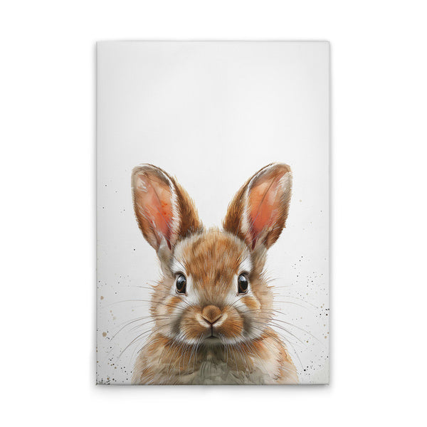 BrownBabyBunny 