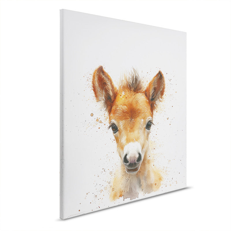 Foal 