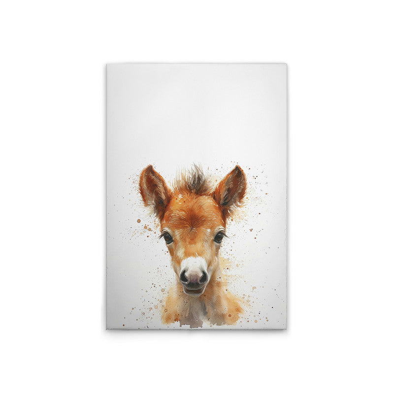 Foal 