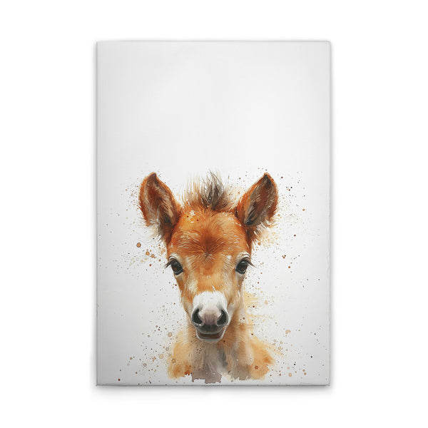 Foal 