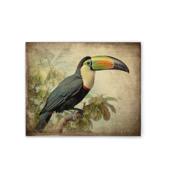 Toucan Vintage 