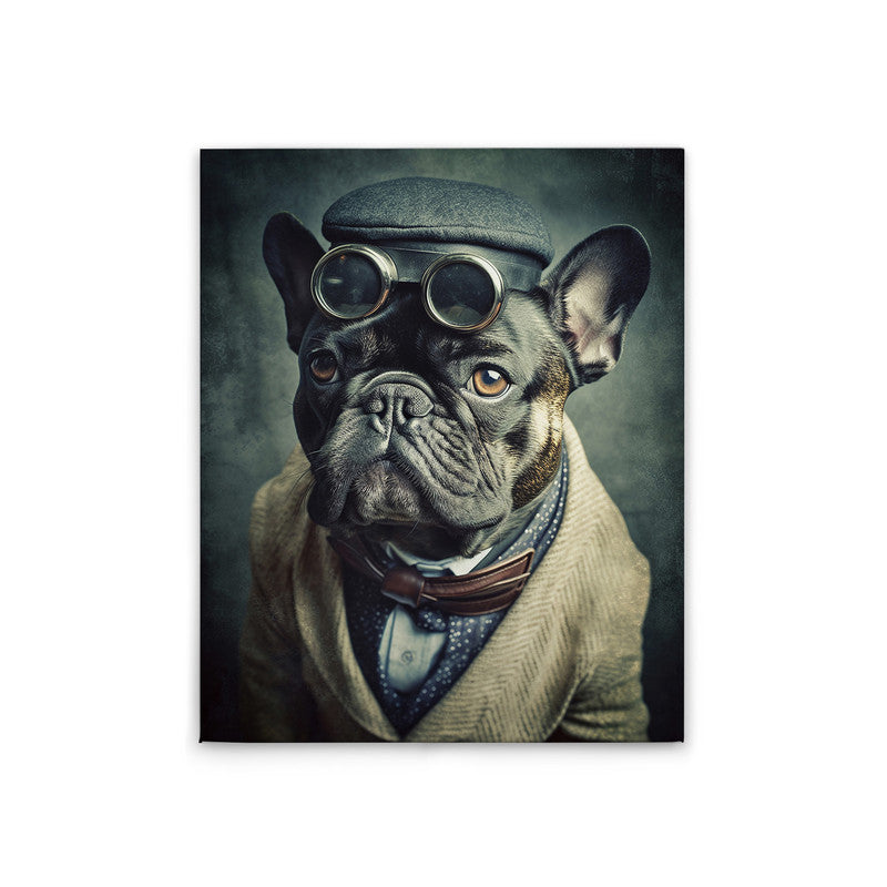 Mr. Bulldog