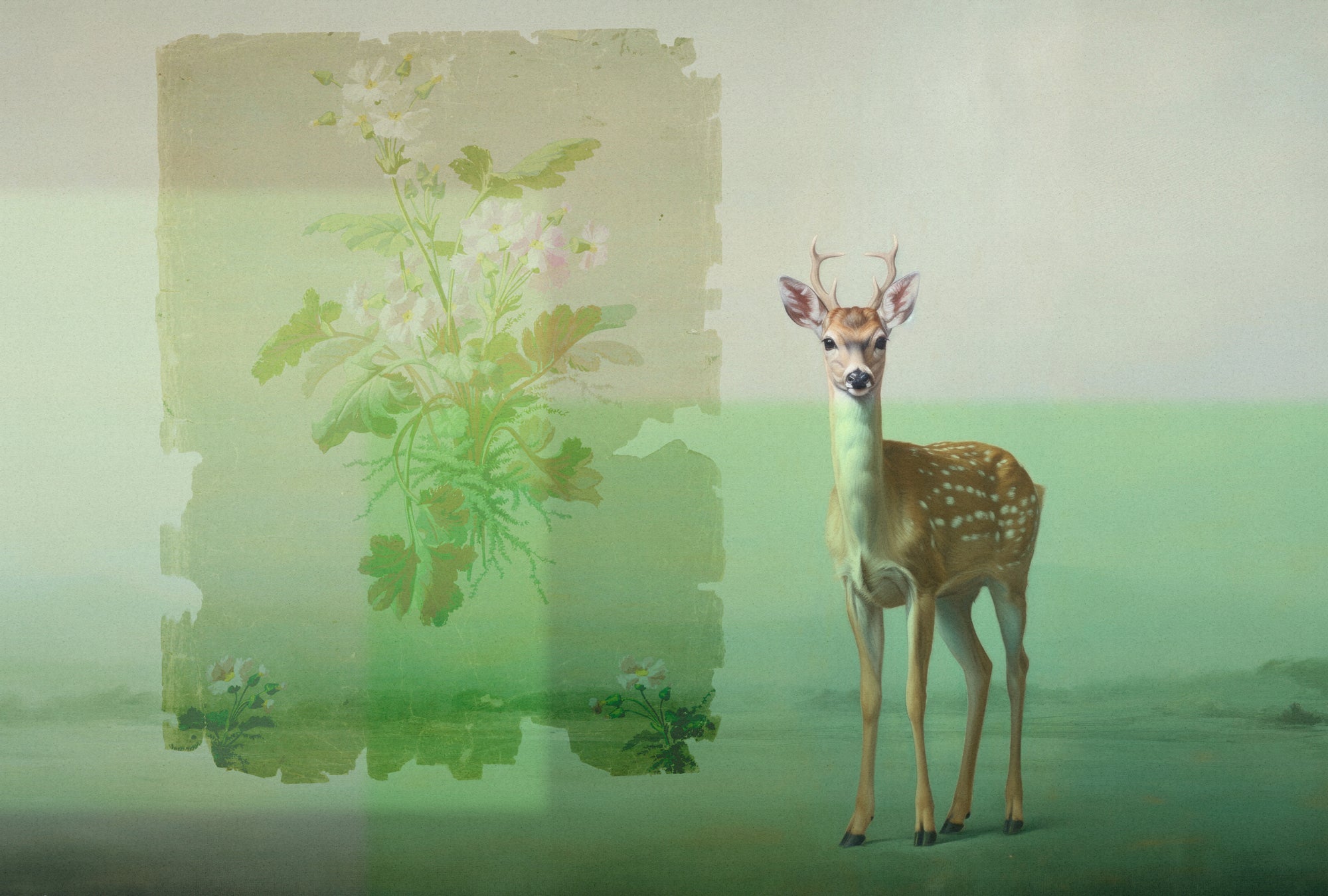 Fototapete im Digitaldruck